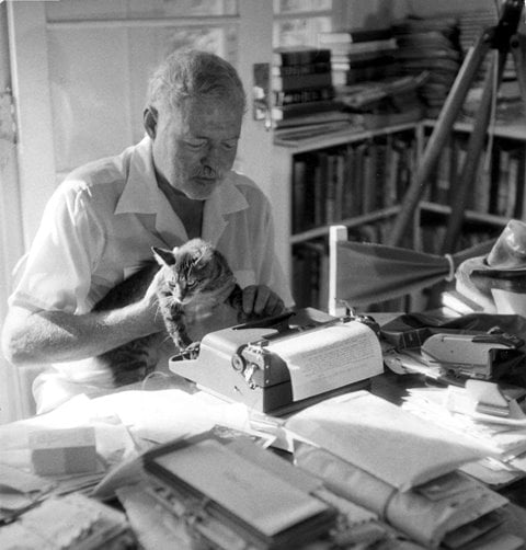 hemingway-with-cat