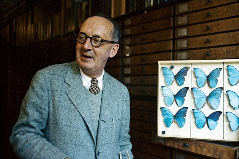 vladimir-nabokov-peperudi